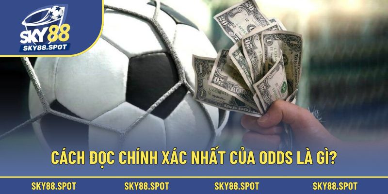 Cách đọc chính xác nhất của Odds là gì?