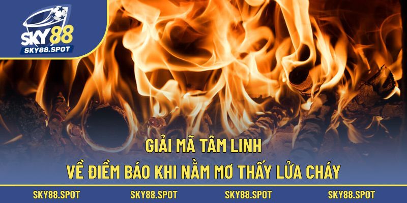 Khám phá điềm báo khi theo góc nhìn tâm linh chuẩn xác