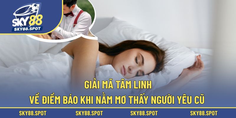 Khám phá điềm báo tâm linh khi chiêm bao thấy “gấu” cũ