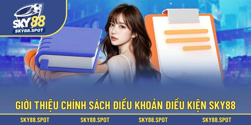 Đôi nét về điều khoản điều kiện SKY88