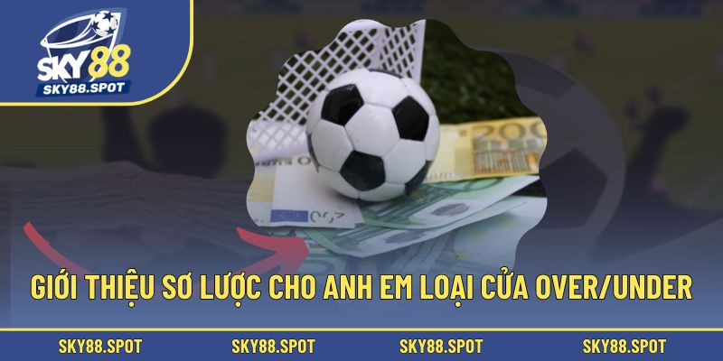 Giới thiệu sơ lược cho anh em loại cửa Over/Under