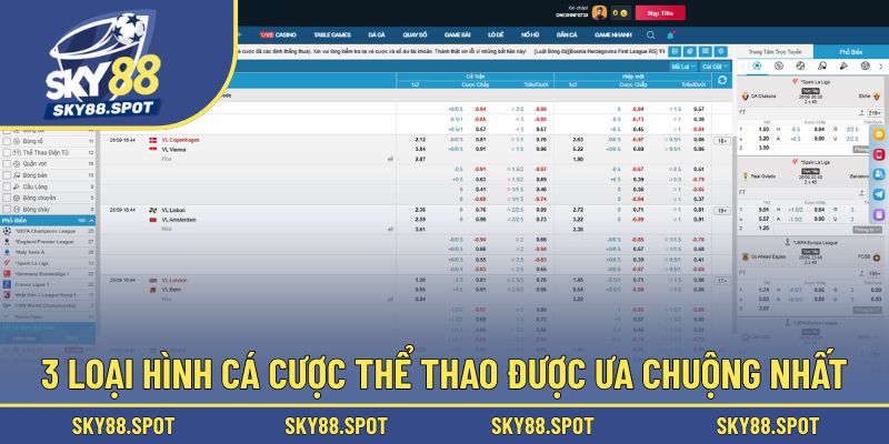 Tổng hợp 4 loại hình cược nổi bật