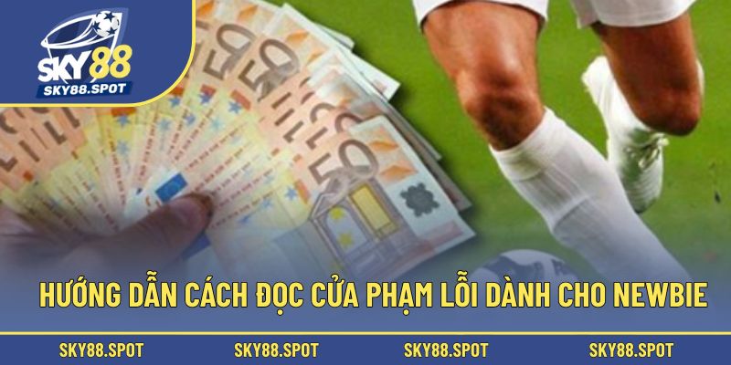 Hướng dẫn cách đọc cửa phạm lỗi dành cho newbie