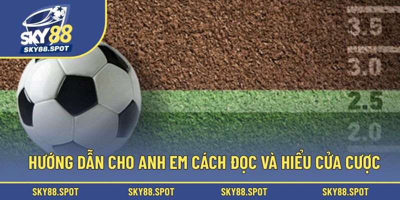 Hướng dẫn cho anh em cách đọc và hiểu cửa cược