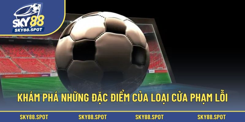 Khám phá những đặc điểm của loại cửa phạm lỗi