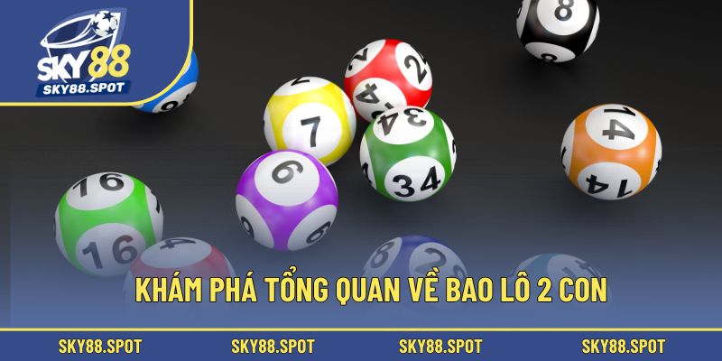 Khám phá tổng quan về bao lô 2 con