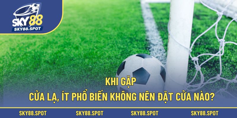 Khi gặp cửa lạ, ít phổ biến không nên đặt cửa nào?