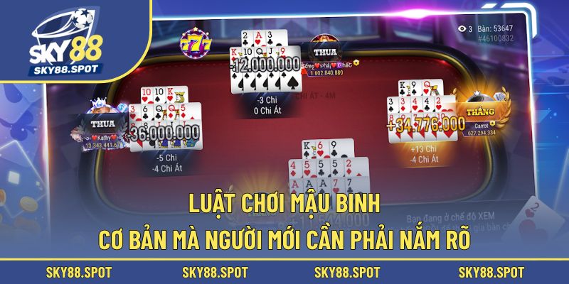 Các nguyên tắc cơ bản giúp người mới nhập môn nhanh chóng