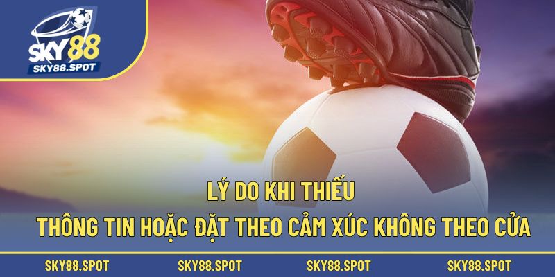 Lý do khi thiếu thông tin hoặc đặt theo cảm xúc không theo cửa