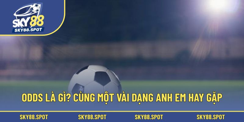 Một vài dạng anh em hay gặp của Odds là gì