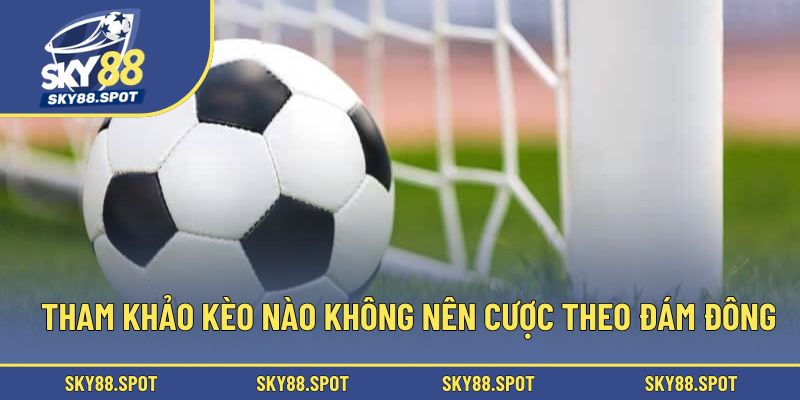 Tham khảo kèo nào không nên cược theo đám đông