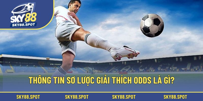 Thông tin sơ lược giải thích Odds là gì?
