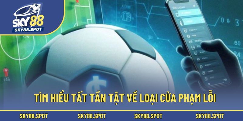 Tìm hiểu tất tần tật về loại cửa phạm lỗi