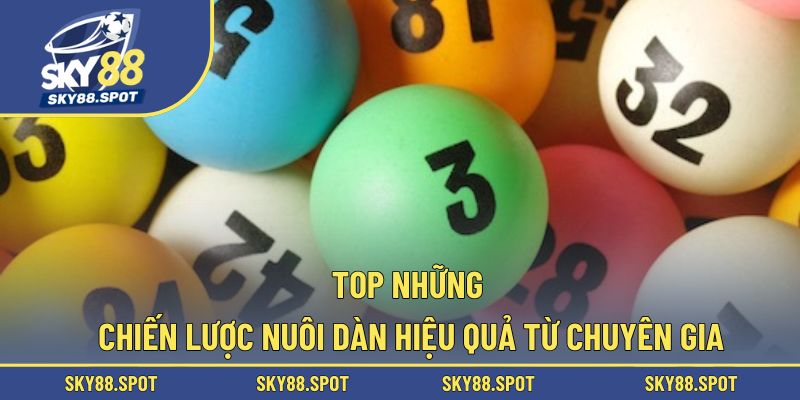 Top những chiến lược nuôi dàn hiệu quả từ chuyên gia
