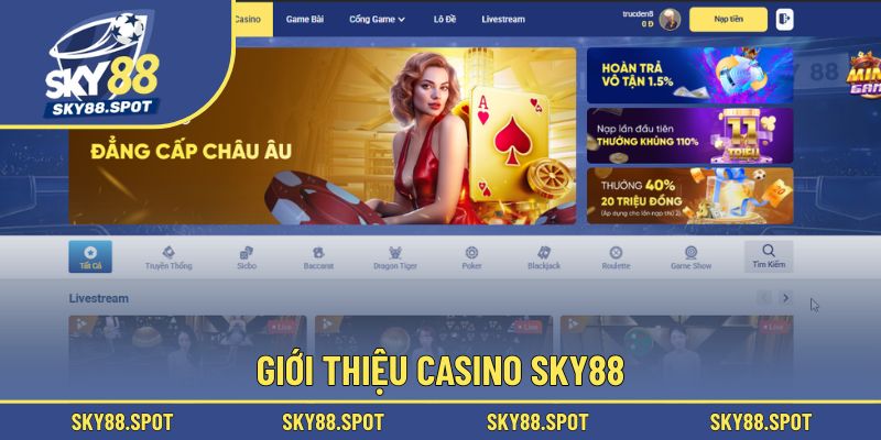 Vài nét sơ lược về casino SKY88